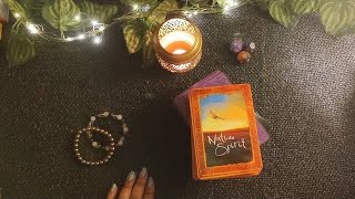 LEO🧿 सिंह राशि --- June Part 1 --- Hindi Tarot