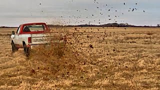 My Son's 1986 Ram Ole Red gets  Carb and Intake