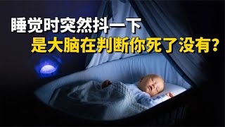 睡覺時突然抖一下，是大腦在判斷你死了沒有？