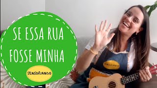 Sensoriando: Se essa rua fosse minha (música infantil)