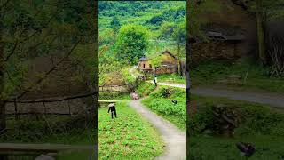 Village #shorts #youtubeshorts #viralvideo #viral