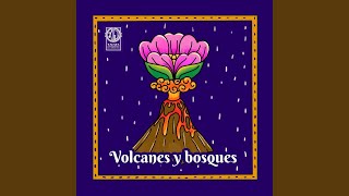 Volcanes y Bosques