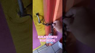 KUCIL PULANG MAIN #anakkucinggemoy #kitten #catlover #animallover #shortvideo