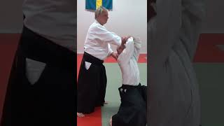 Aikido in slow motion: IRIMINAGE, by Stefan Stenudd