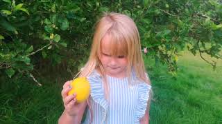 When life gives you lemons...Short film made on mobile staring Amber Waller