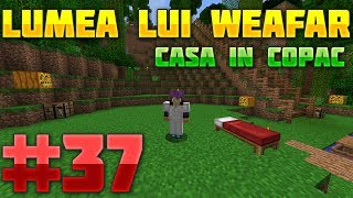 Lumea lui Weafar S3 : Casa in copac - Ultimul Episod | Episodul 37