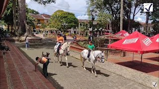 Jinetes y Corceles en Jericó