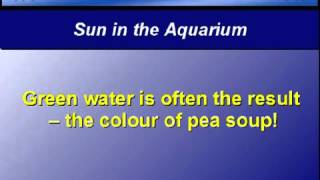 Aquarium Set-Up Tip - 4 -Sun in the Aquarium