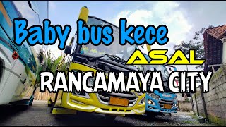 BABY BUS KECE ARTISE RANCAMAYA