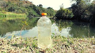 Muito Fácil / Como Pegar  Lambari na Garrafa Pet / Aventura na Roça