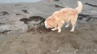 Sally in spiaggia