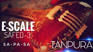 #Riyaz with tanpura | E-Scale | Safed 3 | Sa - Pa - Sa |  EP. 16