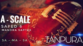 #RIYAZ WITH TANPURA  A SCALE  ( SAFED -6 ) MANDRA SAPTAK  | sa - ma - SA |  FOR MALE  |  EP. 11