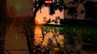 Village amazing view 😍 #village #viral #views #kisan #status #fact