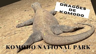 DRAGÕES DE KOMODO | KOMODO NATIONAL PARK | INDONESIA