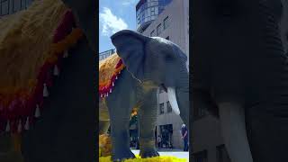 A big elephant in Oslo city!  #afghanistan #afghan #funny #kids #norwaytrip