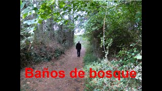 BAÑOS DE BOSQUE