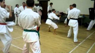 Mawashi geri training