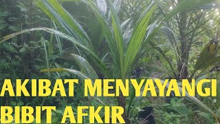 Jangan pelihara bibit afkir