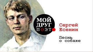 Песнь о собаке - Сергей Есенин  |  С. Есенин стихи  |  Поэзия