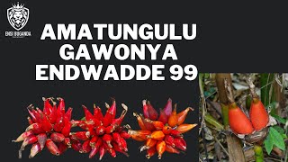 AMATUNGULU GAWONYA ENDWADDE 99 - EMMERE DDAGALA