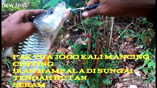 PAK TUA JOGO KALI MANCING CESTING IKAN HAMPALA DI SUNGAI TENGAH HUTAN SERAM