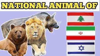 Israel, Oman, Syria, Lebanon, Iran countries national animal | national animal of countries