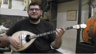 Rosewood 6strings Bouzouki