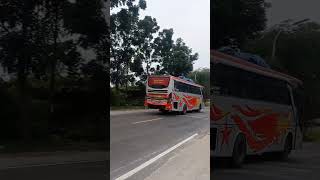 Bus Bintang Utara #shorts #ayonaikbus