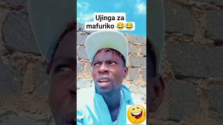 ujinga za mafuriko