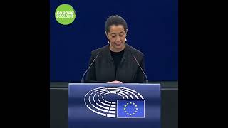 Karima Delli sur l'adhésion de l'Union européenne à la Convention d'Istanbul