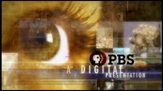 PBS DIGITAL