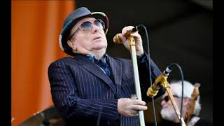 Van Morrison - I Don't Want To Go On Without You