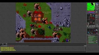 [Tibia] Noob char action in POH - 255 knight + randoms dead!