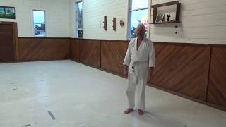 Why Aikido - Murray