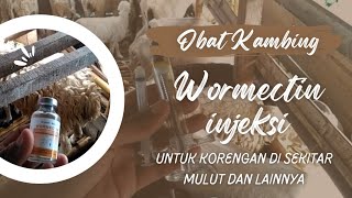 CARA MENGOBATI MULUT KAMBING  KORENGAN  /   wormectin injeksi untuk korengan di sekitar mulut