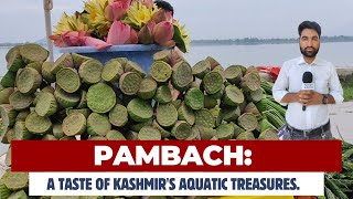 #Watch | Pambach: A Taste of Kashmir's Aquatic Treasures.