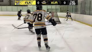 U14AA Flamborough Sabres VS Aurora Tigers Oakville Tournament Game 4