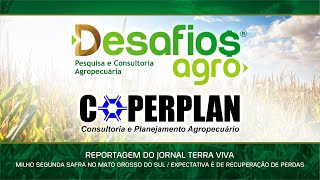 DC Safrinha COPERPLAN