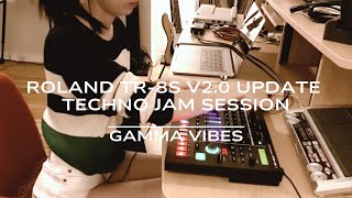 Gamma Vibes - Roland TR-8S v2.0 Update Jam session