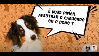 É mais difícil adestrar o dono ou o cachorro?