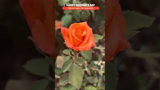 HAPPY MOTHER'S DAY🌹Moms make life beautiful. 🔗 https://timer-clock.com