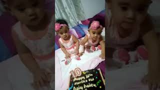 Baby Hailey & Sofey craves for cake😂🥰 | So Cute 😍♥️ #shorts