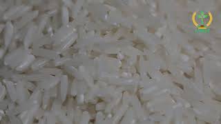 Wholesale Long Grain Fragrant Rice White Rice Vua Ngu Rice Variety from Vietnam Best Supplier