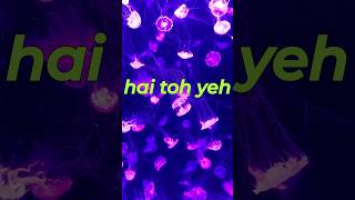 Mystery of Jellyfish: अमर जीवन की अद्भुत यात्रा #shorts