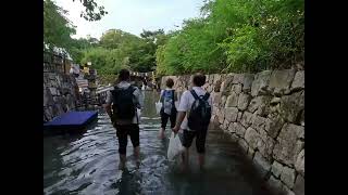 Kitano Tenmangu Shrine　”Mitarashi Sai”