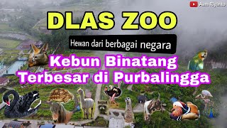 Kebun Binatang Terbesar di Purbalingga | DLAS ZOO | Wisata Purbalingga Terbaru 2023