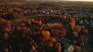 Fall colors from a DJI Mini 3 Pro and edited in DJI LightCut