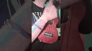 Si la morra del ukelele fuera bélica 🤣 #music #cover