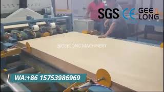 Geelong- Automatic plywood sanding line machinery, U type double sided sanding